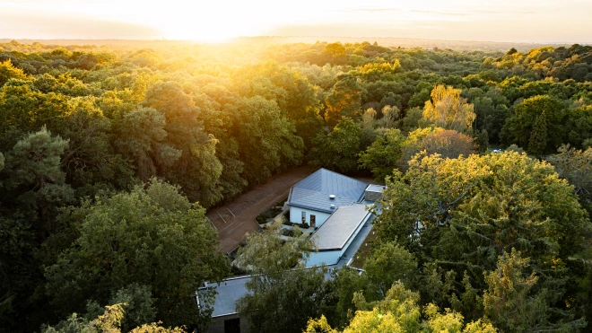 Medical professionals